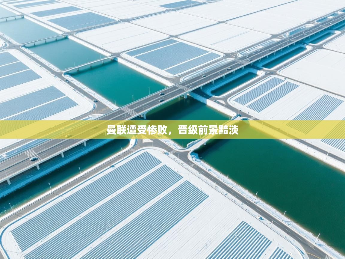 曼联遭受惨败，晋级前景黯淡  第2张