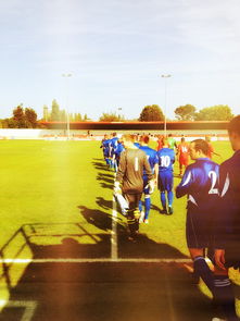 开云体育官网入口网页-立陶宛大胜卢森堡，晋级希望重新点燃，立陶宛nkl